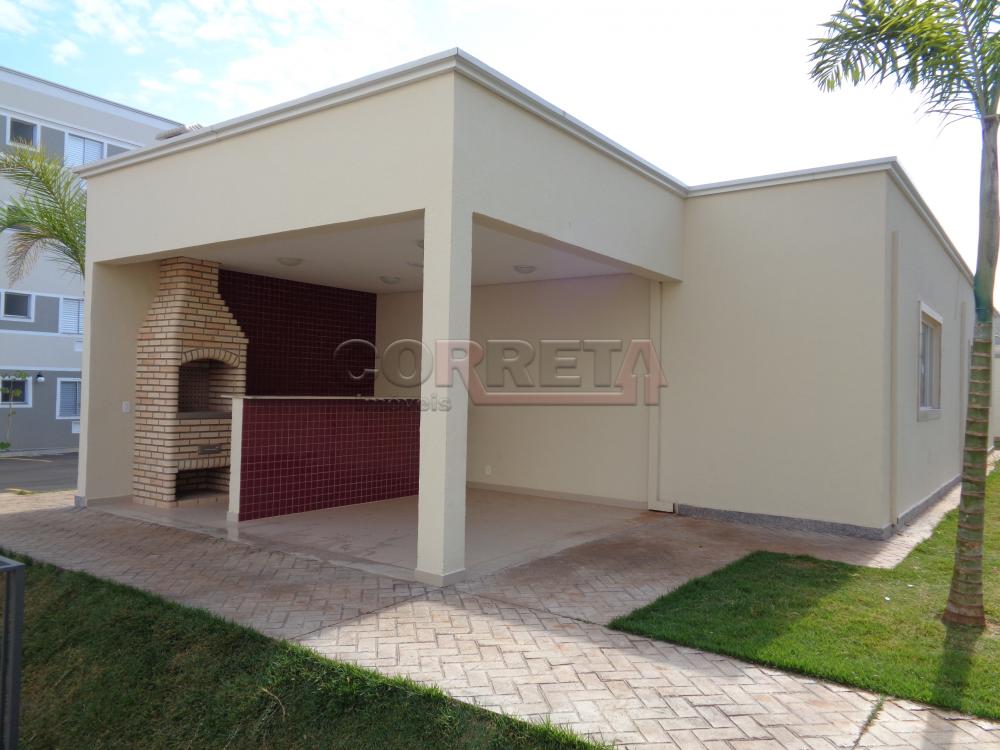 Alugar Apartamento / Padrão em Araçatuba R$ 1.100,00 - Foto 23