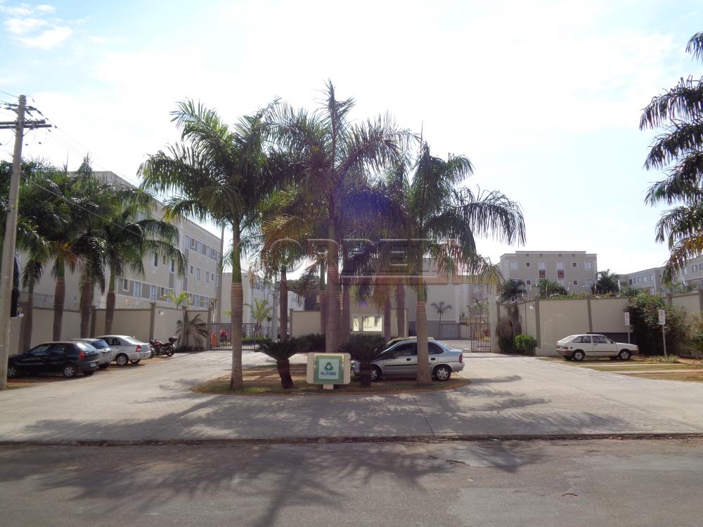 Alugar Apartamento / Padrão em Araçatuba R$ 1.100,00 - Foto 16