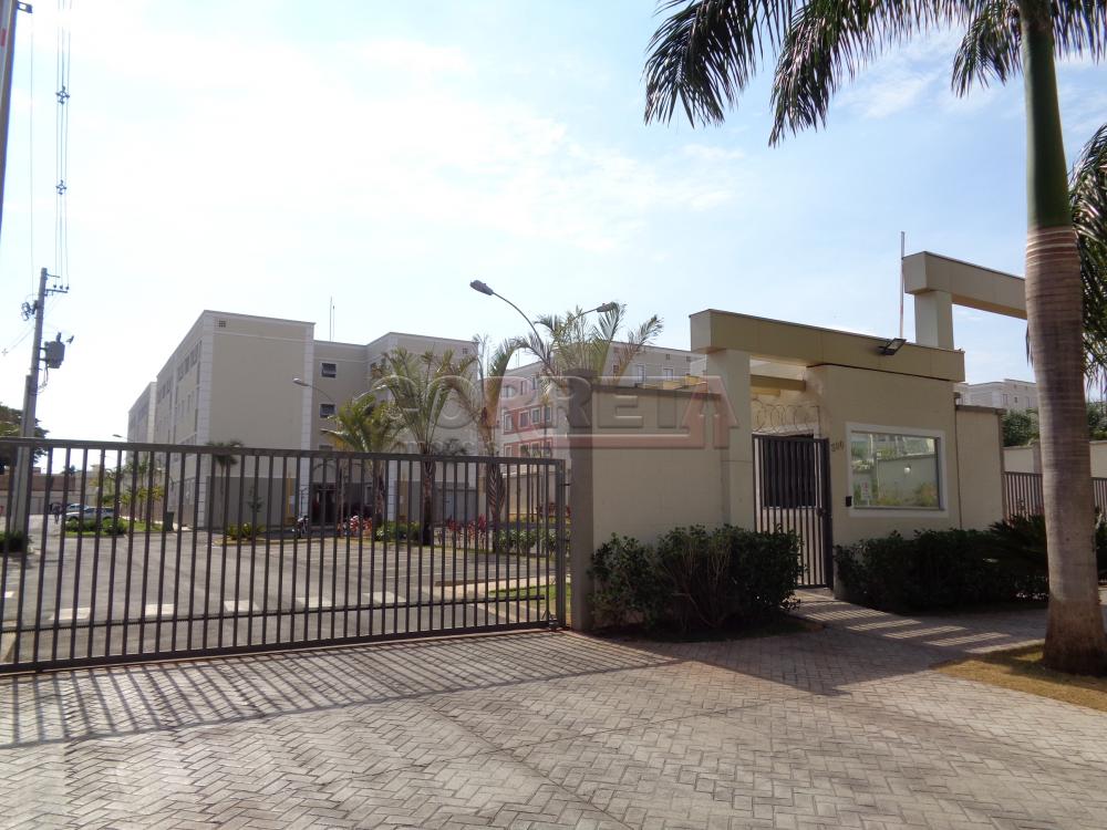 Alugar Apartamento / Padrão em Araçatuba R$ 1.100,00 - Foto 12