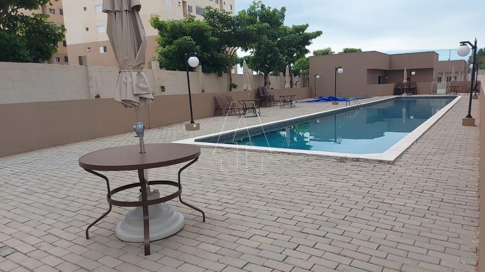 Comprar Apartamento / Padrão em Araçatuba R$ 390.000,00 - Foto 14