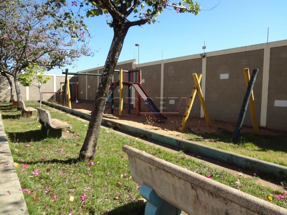 Comprar Apartamento / Padrão em Araçatuba R$ 220.000,00 - Foto 15