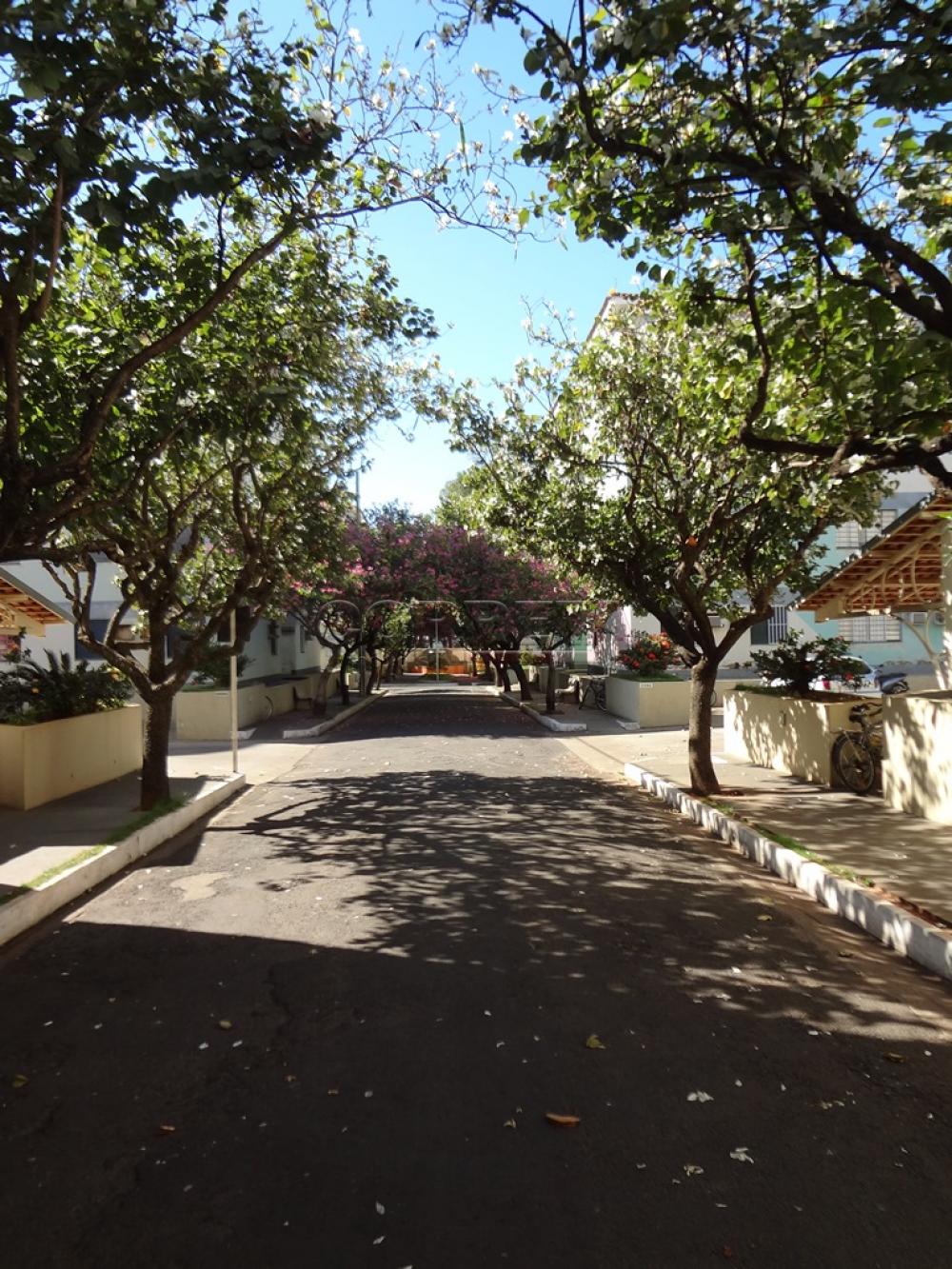 Comprar Apartamento / Padrão em Araçatuba R$ 220.000,00 - Foto 17
