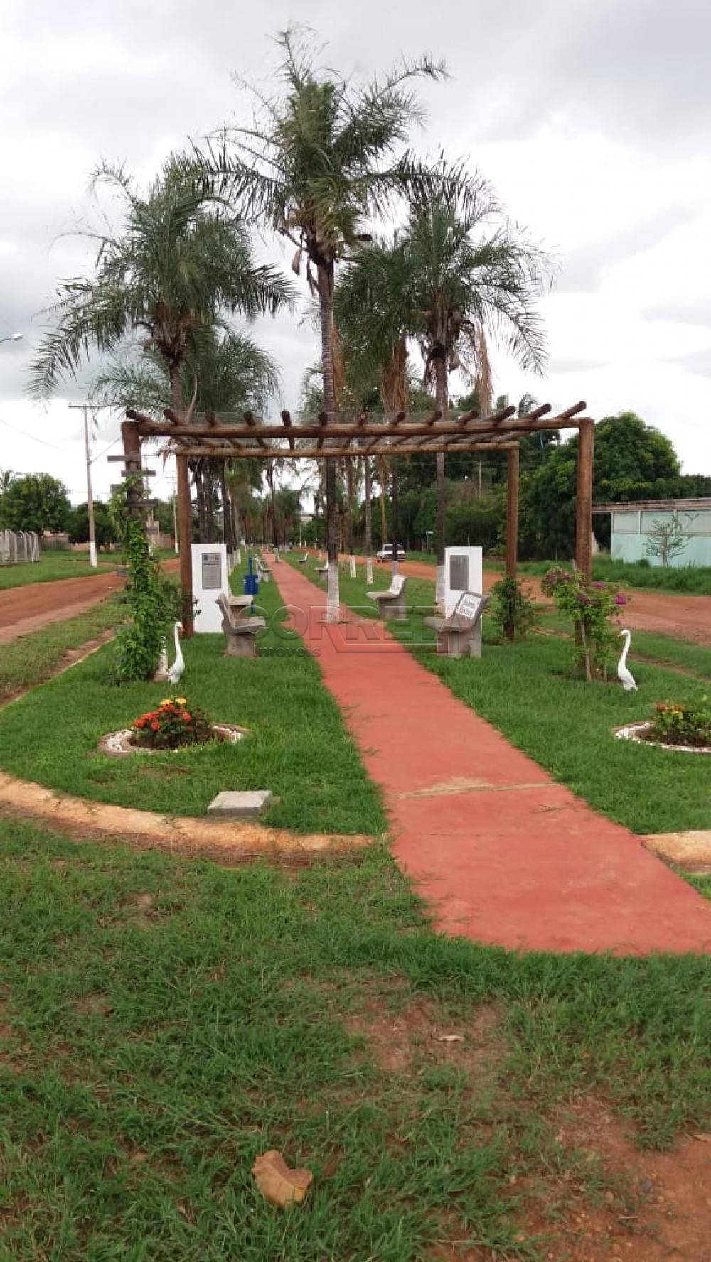Comprar Rural / Rancho Condomínio em Santo Antônio do Aracanguá R$ 550.000,00 - Foto 36