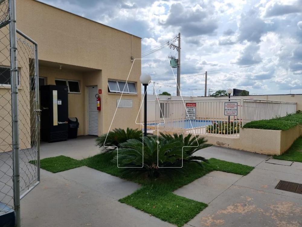 Alugar Apartamento / Padrão em Araçatuba R$ 900,00 - Foto 13