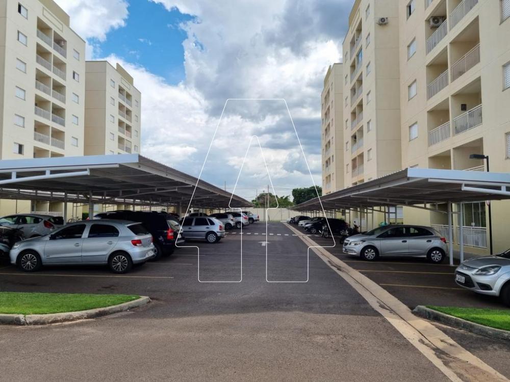 Alugar Apartamento / Padrão em Araçatuba R$ 900,00 - Foto 14
