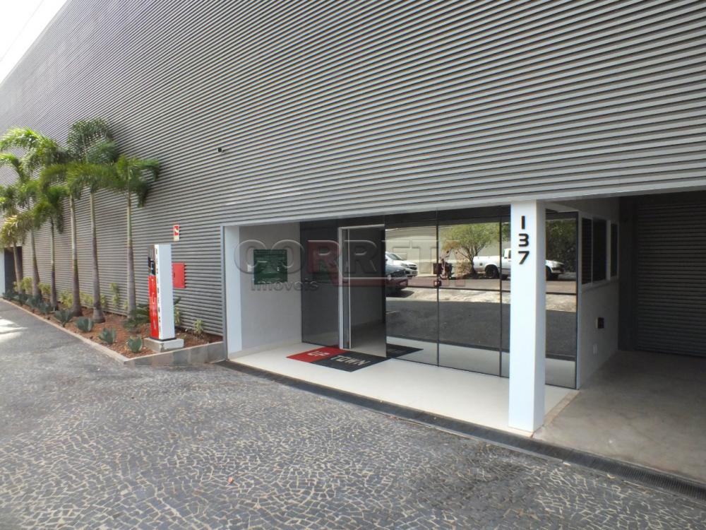 Alugar Apartamento / Padrão em Araçatuba R$ 2.300,00 - Foto 9