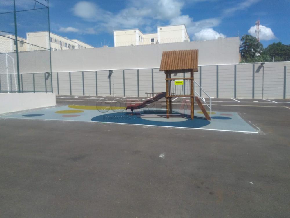Alugar Apartamento / Padrão em Araçatuba R$ 1.600,00 - Foto 13