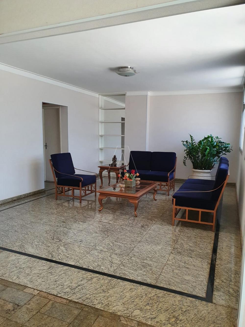 Alugar Apartamento / Padrão em Araçatuba R$ 1.200,00 - Foto 14