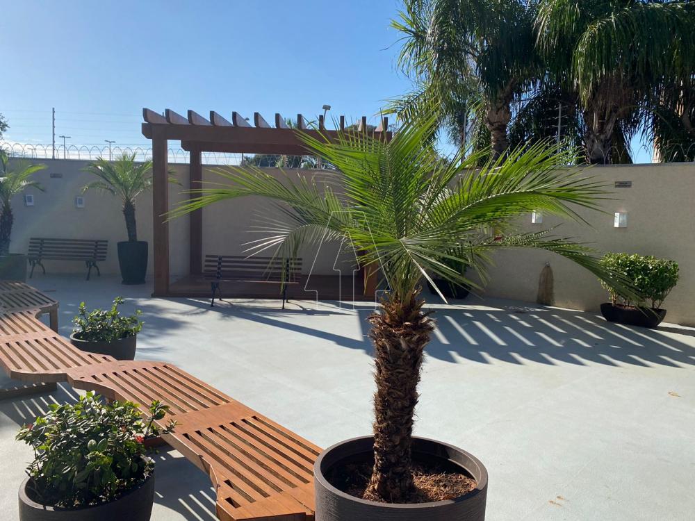 Comprar Apartamento / Padrão em Araçatuba R$ 650.000,00 - Foto 19