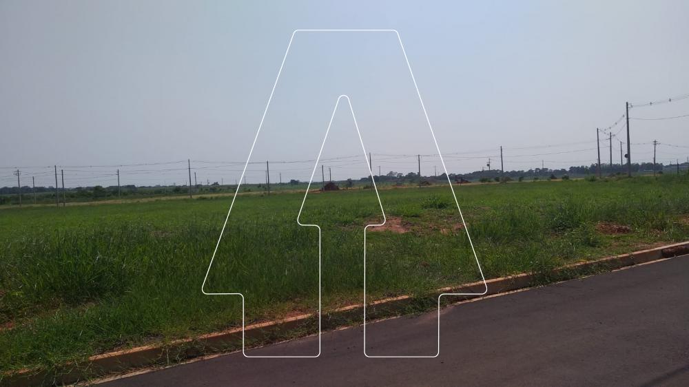 Comprar Terreno / Condomínio em Araçatuba R$ 320.000,00 - Foto 16