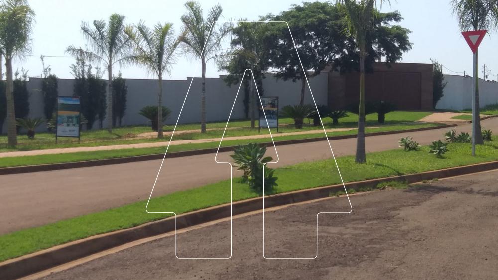 Comprar Terreno / Condomínio em Araçatuba R$ 320.000,00 - Foto 10
