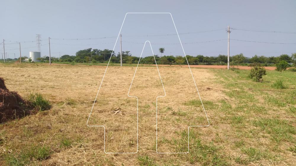 Comprar Terreno / Condomínio em Araçatuba R$ 320.000,00 - Foto 15