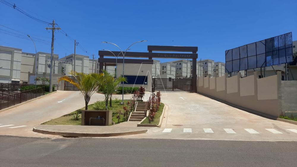 Alugar Apartamento / Padrão em Araçatuba R$ 850,00 - Foto 10