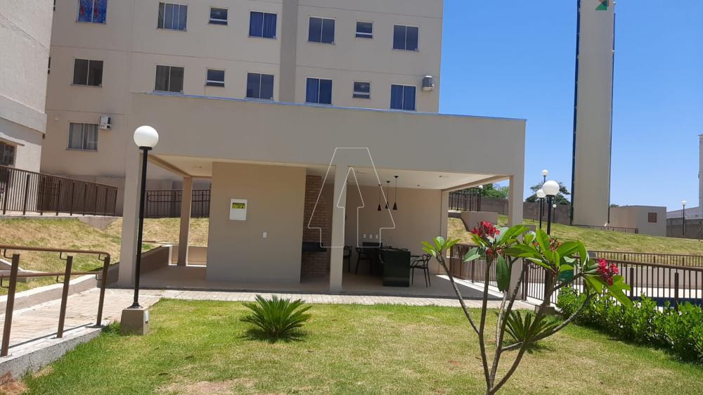 Alugar Apartamento / Padrão em Araçatuba R$ 850,00 - Foto 12