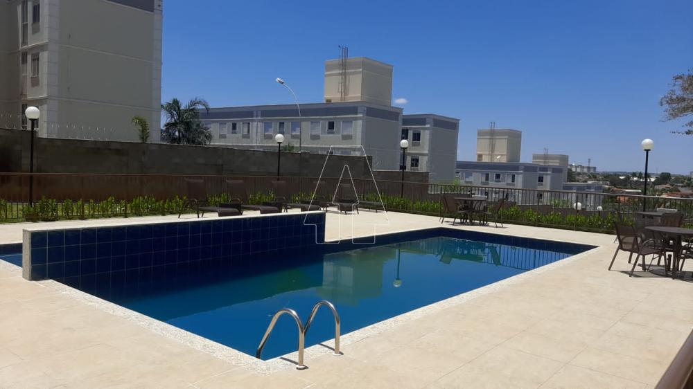 Alugar Apartamento / Padrão em Araçatuba R$ 850,00 - Foto 13