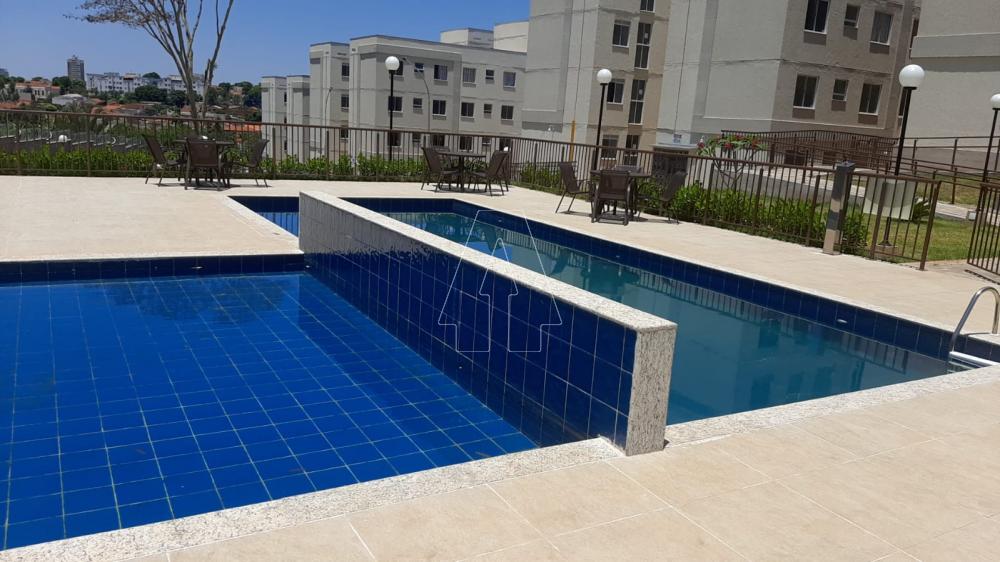 Alugar Apartamento / Padrão em Araçatuba R$ 850,00 - Foto 17