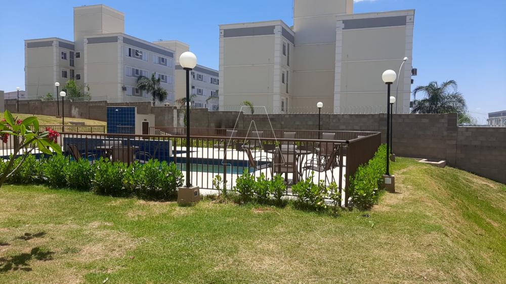 Alugar Apartamento / Padrão em Araçatuba R$ 850,00 - Foto 15