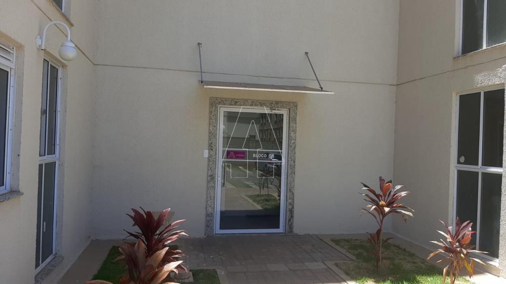 Alugar Apartamento / Padrão em Araçatuba R$ 850,00 - Foto 11