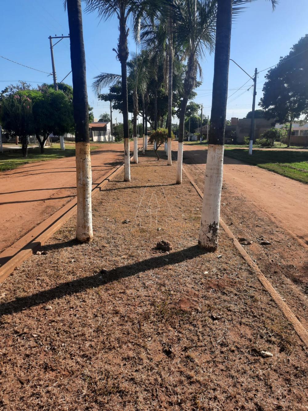 Alugar Rural / Rancho Condomínio em Araçatuba R$ 1.100,00 - Foto 20