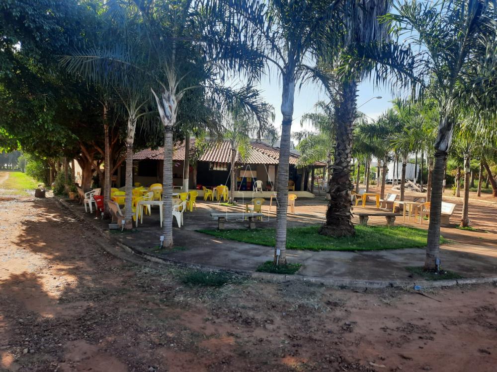 Alugar Rural / Rancho Condomínio em Araçatuba R$ 1.100,00 - Foto 21
