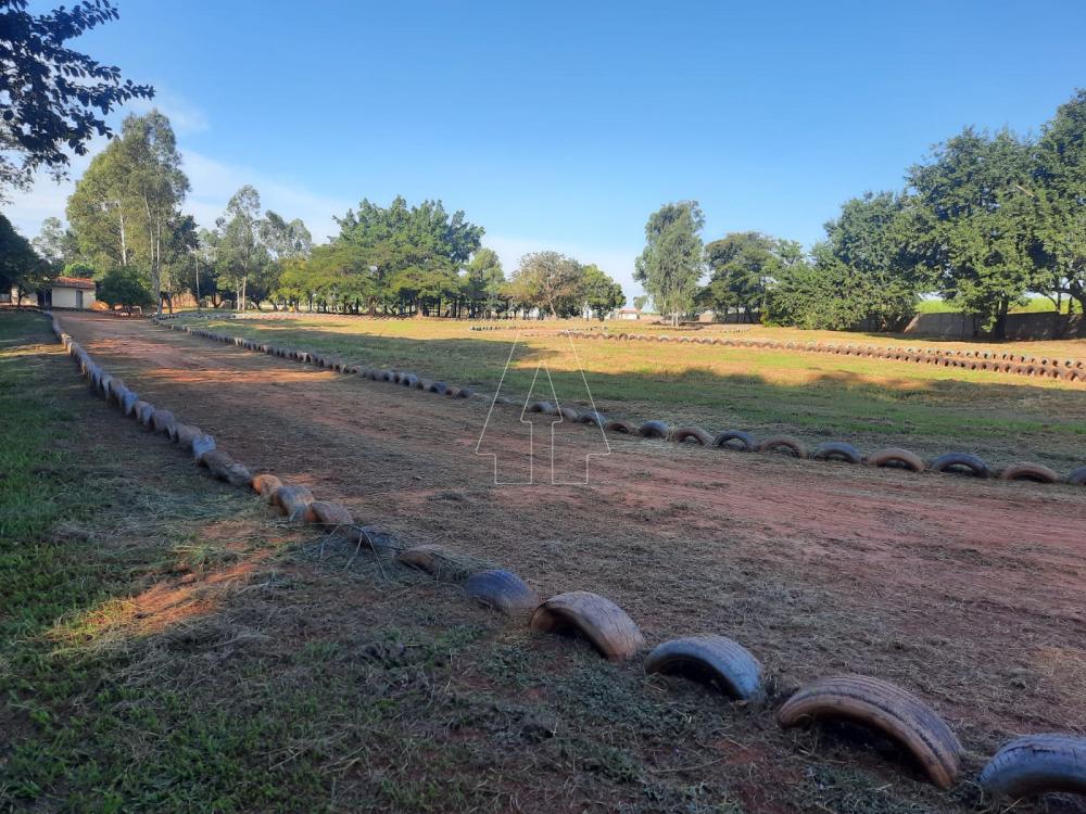 Alugar Rural / Rancho Condomínio em Araçatuba R$ 1.100,00 - Foto 23