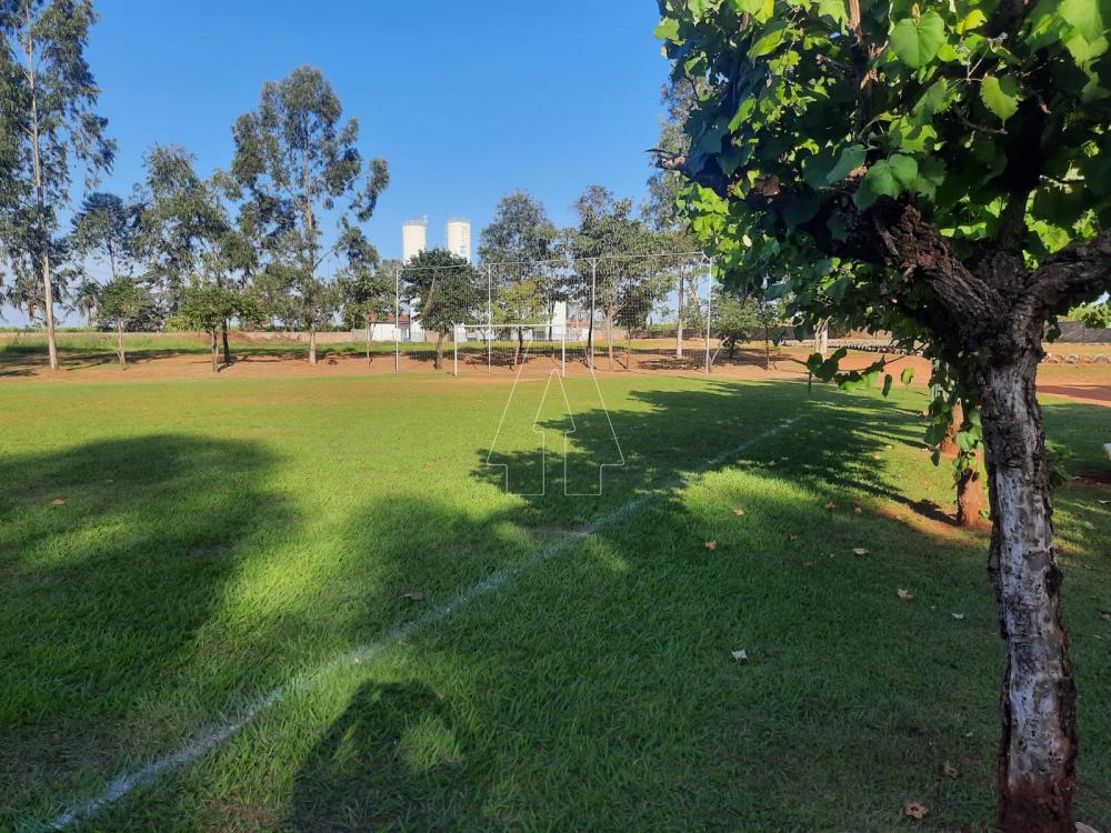 Alugar Rural / Rancho Condomínio em Araçatuba R$ 1.100,00 - Foto 28