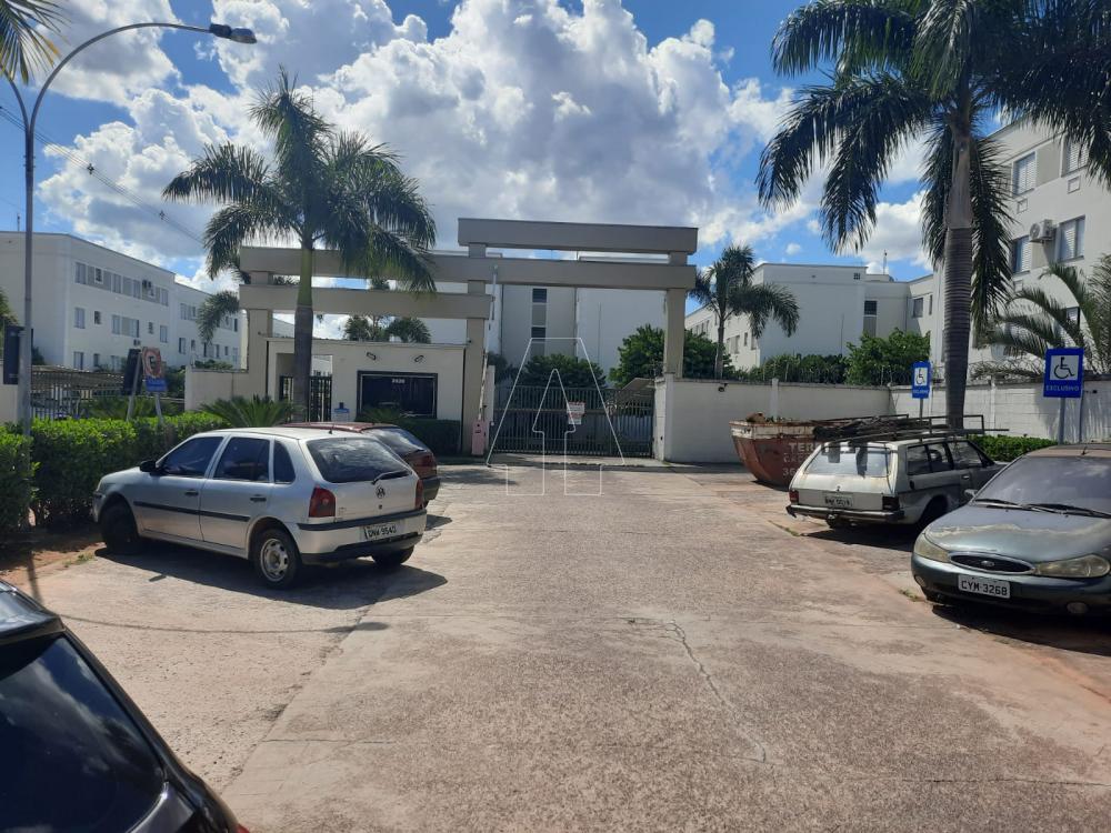 Alugar Apartamento / Padrão em Araçatuba R$ 750,00 - Foto 12