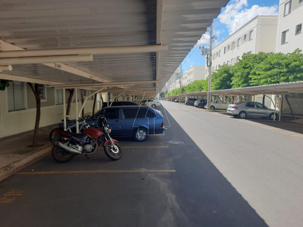 Alugar Apartamento / Padrão em Araçatuba R$ 750,00 - Foto 14