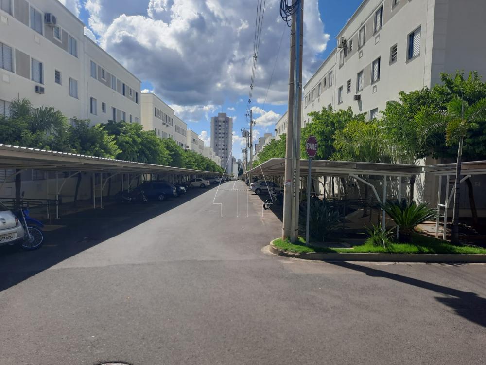 Alugar Apartamento / Padrão em Araçatuba R$ 750,00 - Foto 13