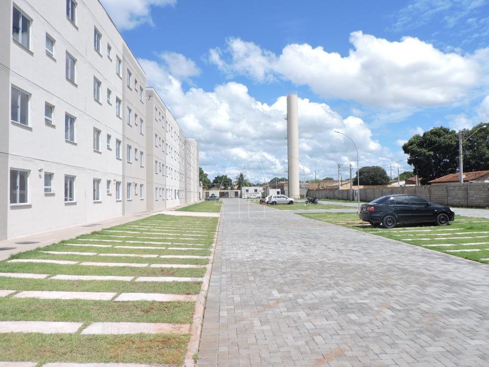 Alugar Apartamento / Padrão em Araçatuba R$ 1.000,00 - Foto 14