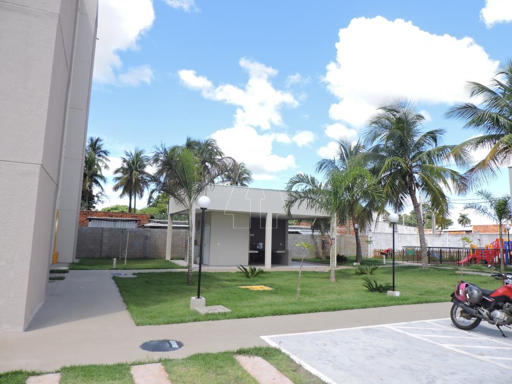 Alugar Apartamento / Padrão em Araçatuba R$ 1.000,00 - Foto 10