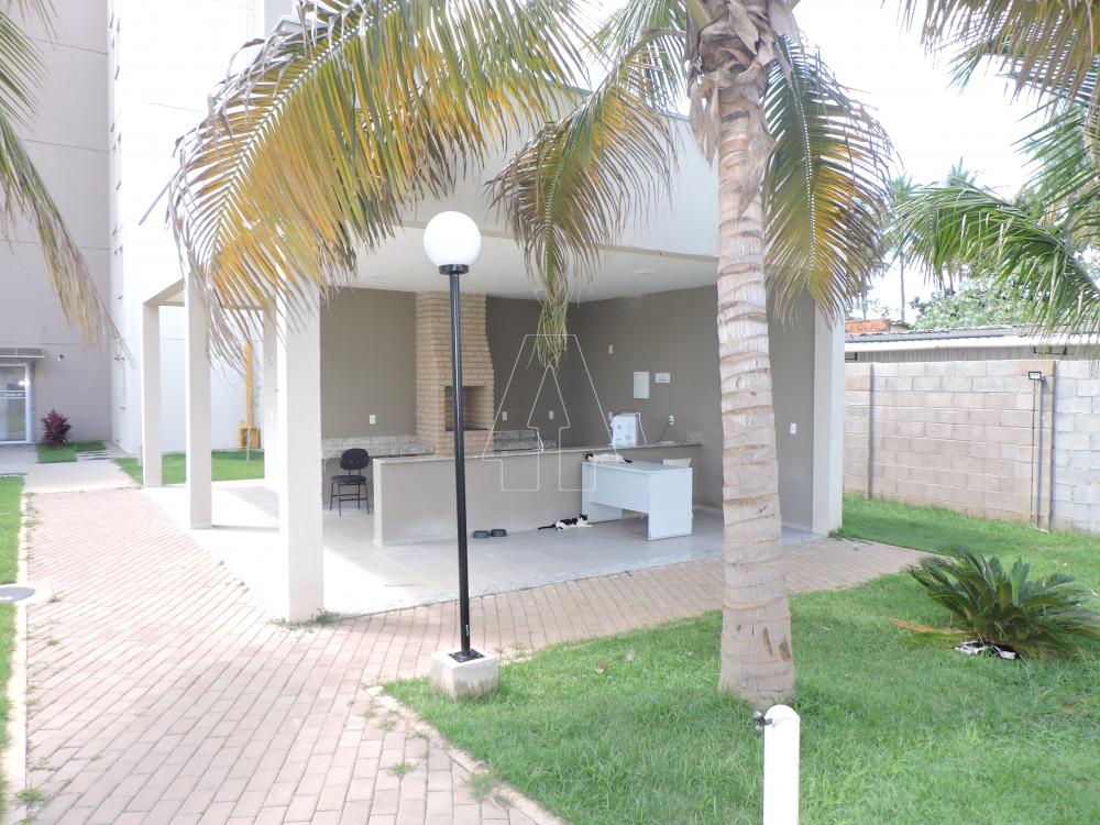 Alugar Apartamento / Padrão em Araçatuba R$ 1.000,00 - Foto 11