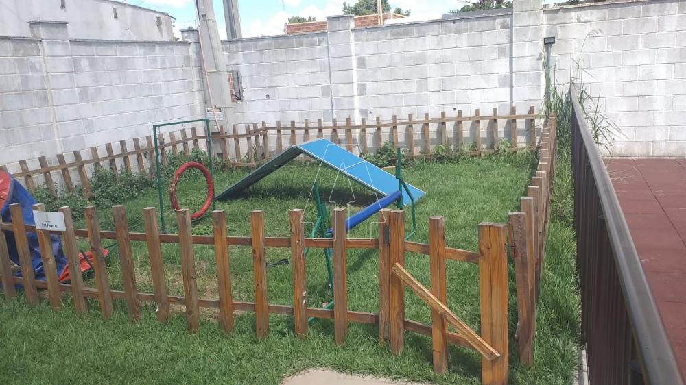 Alugar Apartamento / Padrão em Araçatuba R$ 1.000,00 - Foto 15