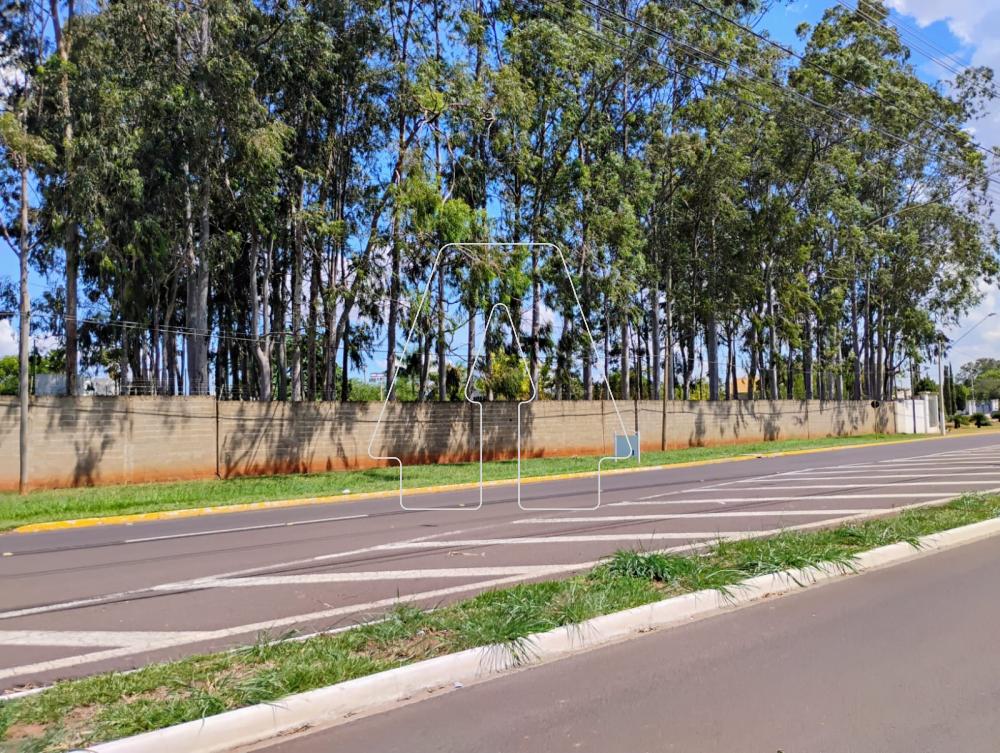 Comprar Casa / Condomínio em Araçatuba R$ 1.350.000,00 - Foto 53