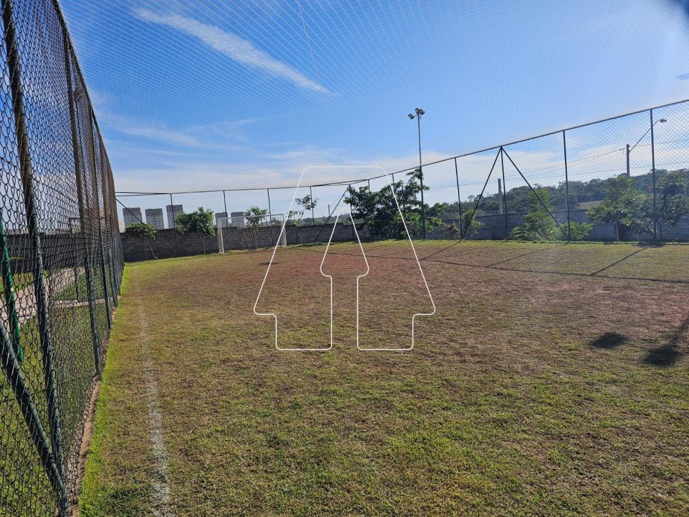 Comprar Terreno / Condomínio em Araçatuba R$ 225.000,00 - Foto 13