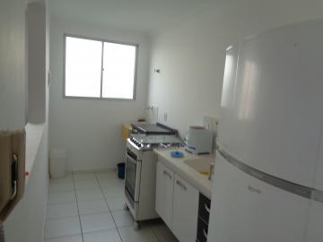 Alugar Apartamento / Padrão em Araçatuba. apenas R$ 1.100,00