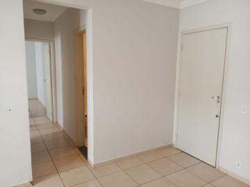 Alugar Apartamento / Padrão em Araçatuba. apenas R$ 589,27