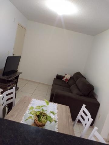 Alugar Apartamento / Padrão em Araçatuba. apenas R$ 600,00