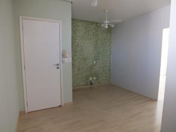 Alugar Comercial / Sala em Araçatuba. apenas R$ 1.100,00