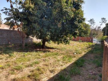 Terreno / Padrão em Araçatuba , Comprar por R$Consulte-nosAlugar por R$(L) 1.500,00
