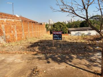 Alugar Terreno / Padrão em Araçatuba. apenas R$ 120.000,00