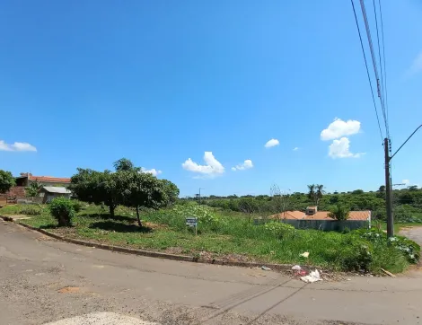 Terreno / Padrão em Araçatuba , Comprar por R$Consulte-nos