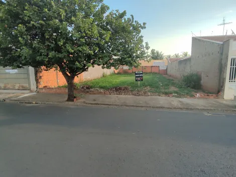 Alugar Terreno / Padrão em Araçatuba. apenas R$ 165.000,00