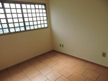 Alugar Casa / Kitnet em Araçatuba. apenas R$ 900,00