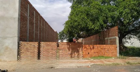 Terreno / Padrão em Araçatuba , Comprar por R$Consulte-nosAlugar por R$(L) 3.000,00