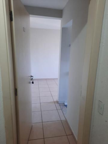 Alugar Apartamento / Padrão em Araçatuba. apenas R$ 850,00