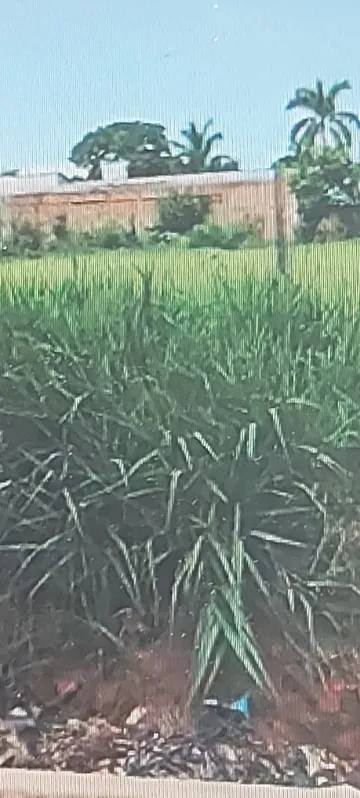 Terreno / Padrão em Araçatuba , Comprar por R$Consulte-nosAlugar por R$(L) 0,00