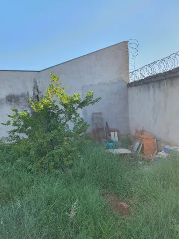 Alugar Terreno / Padrão em Araçatuba. apenas R$ 150.000,00