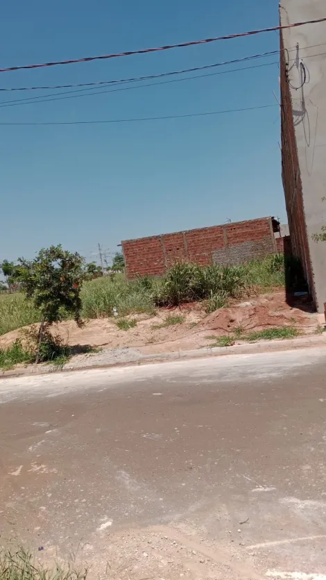 Alugar Terreno / Padrão em Araçatuba. apenas R$ 125.000,00