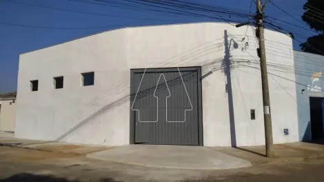 Alugar Comercial / Salão em Araçatuba. apenas R$ 2.800,00